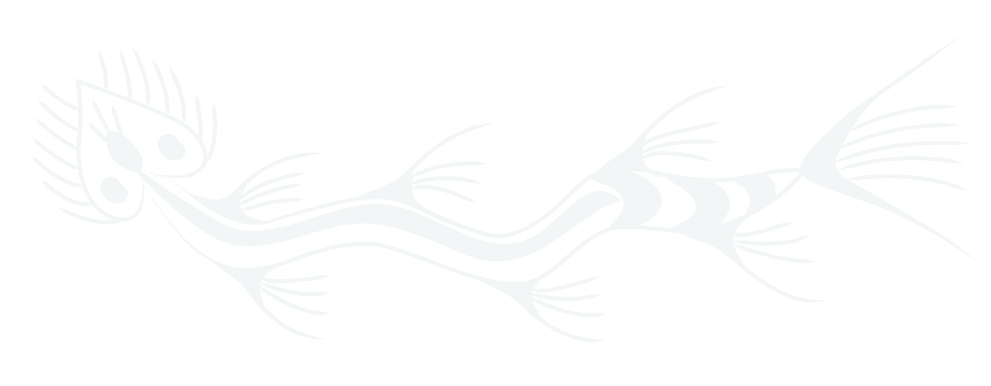 Sea animals ornament vector