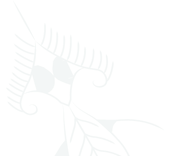 Sea animals ornament vector