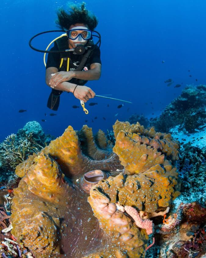 chicken reef dive site raja ampat