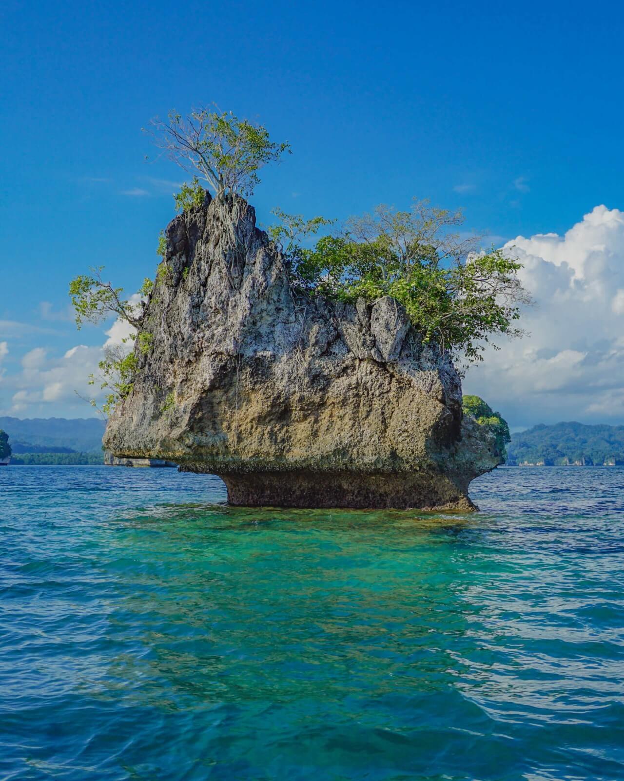 hidden bay and mushroom island
