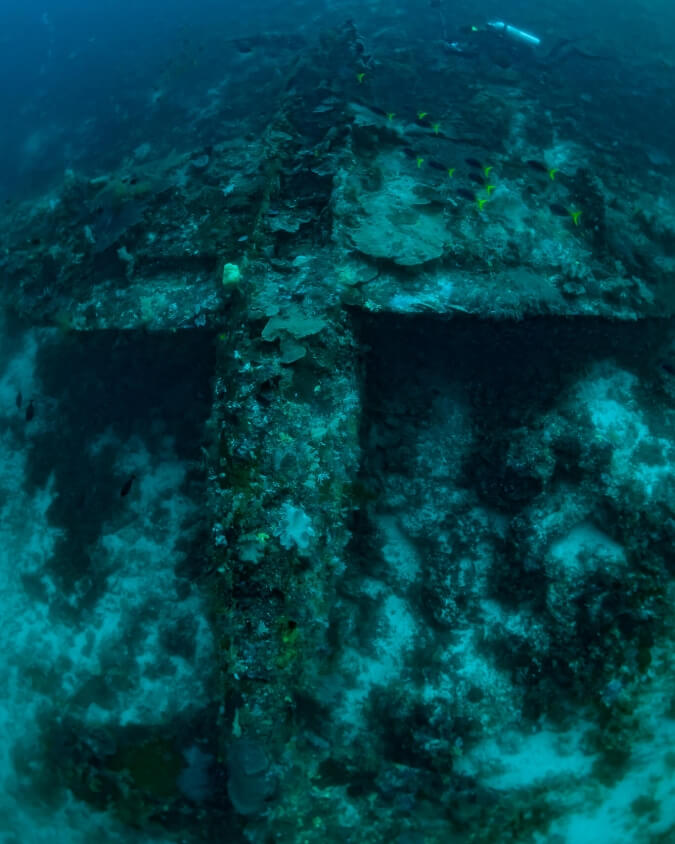 p-47 plane wreck dive site raja ampat