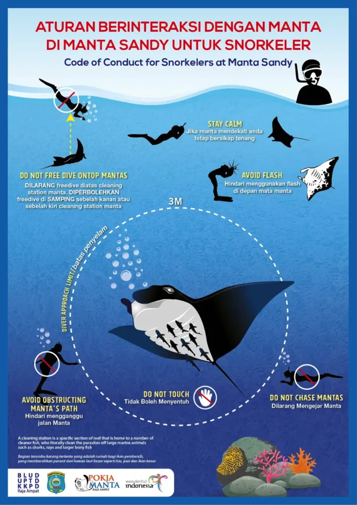 COC snorkellers at Manta Sandy