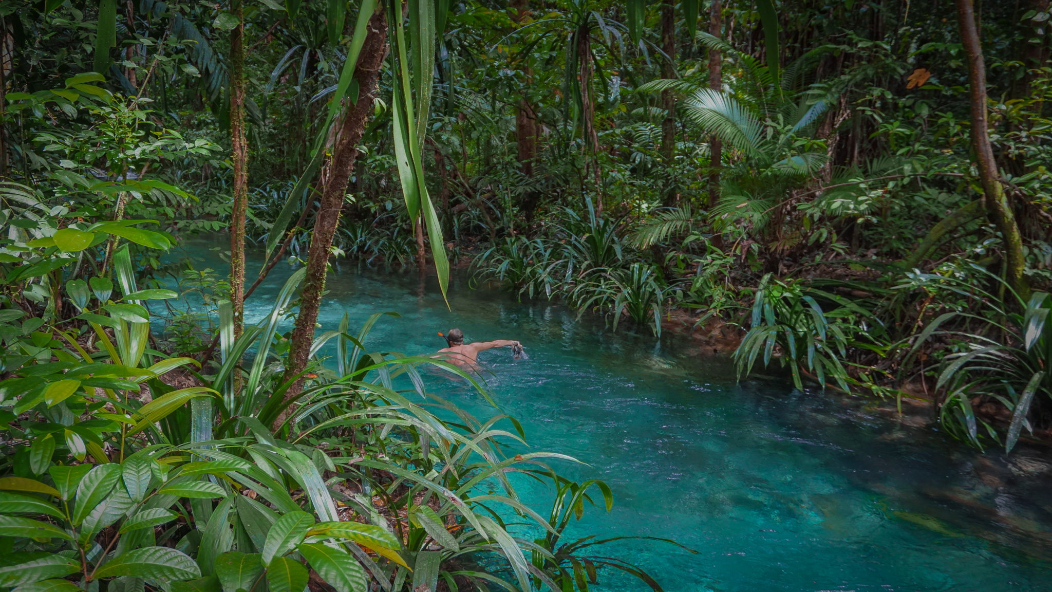 clear blue river at the jungle, Raja Ampat