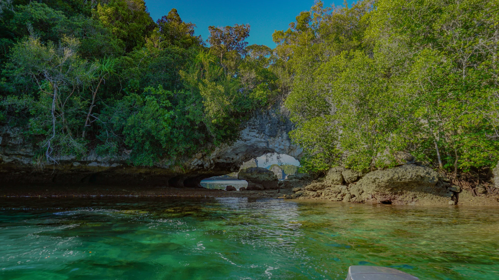 explore raja ampat with papua diving excursions
