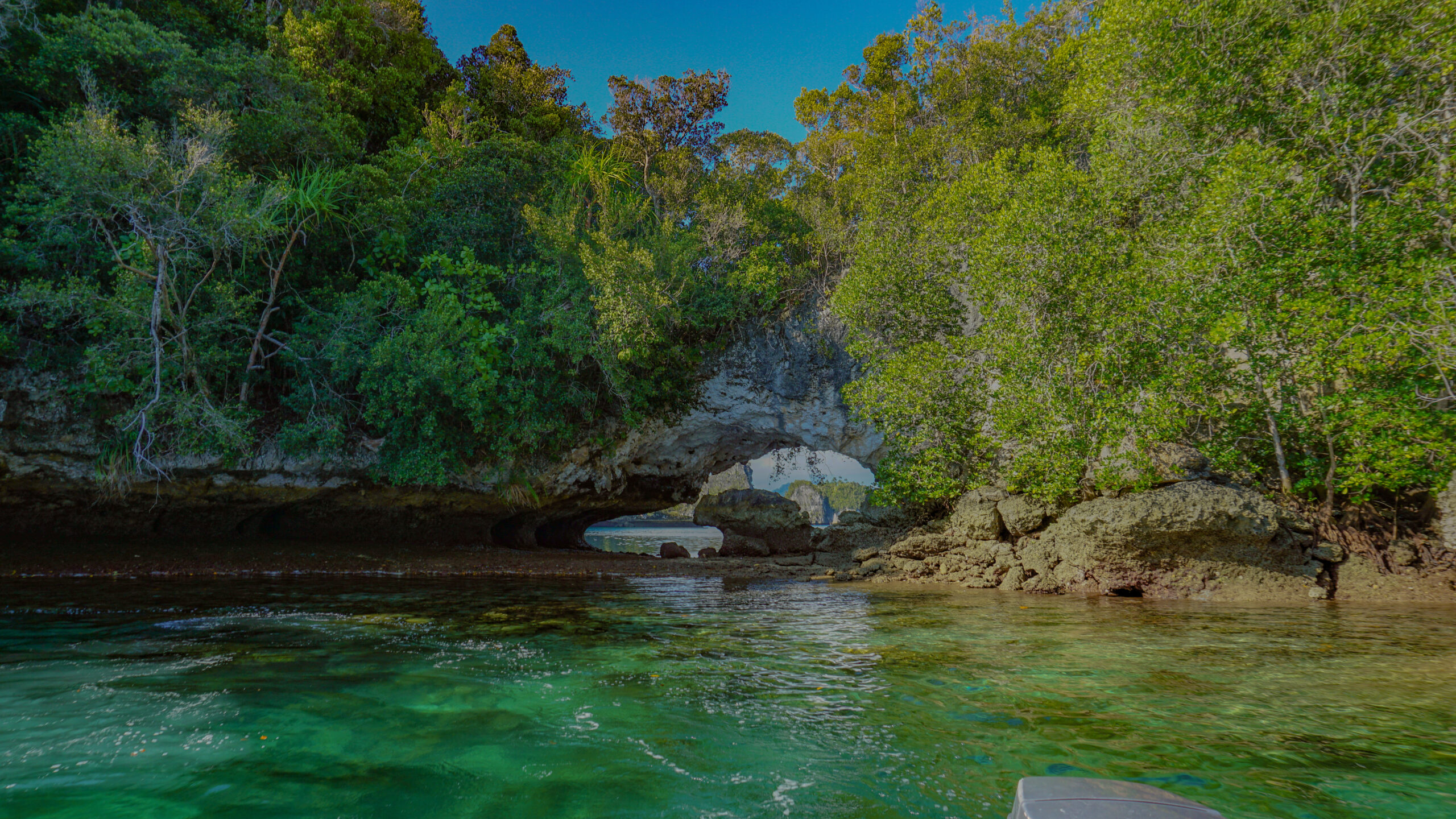 explore raja ampat with papua diving excursions