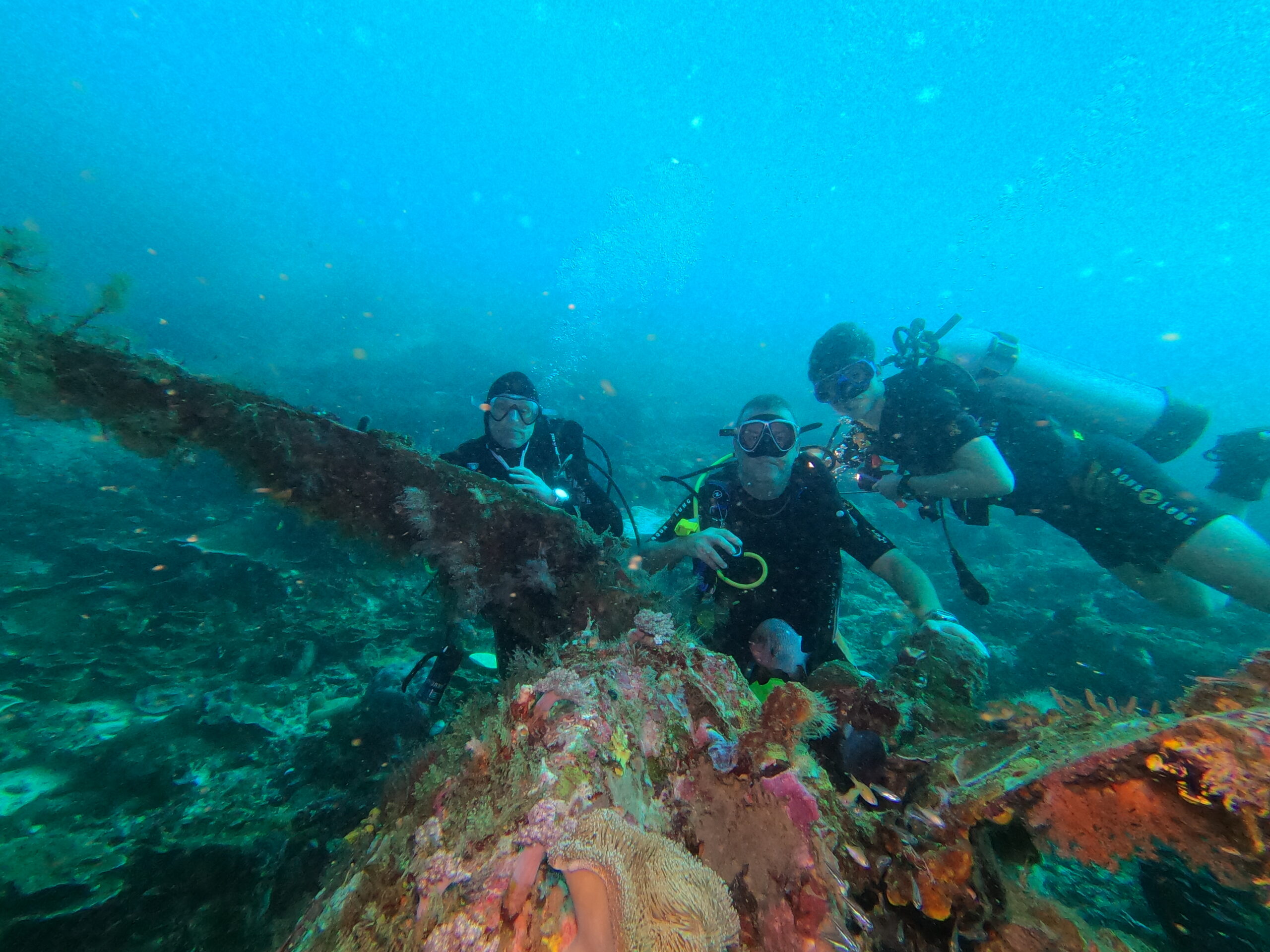 P47 Plane Wreck Dive - Raja Ampat