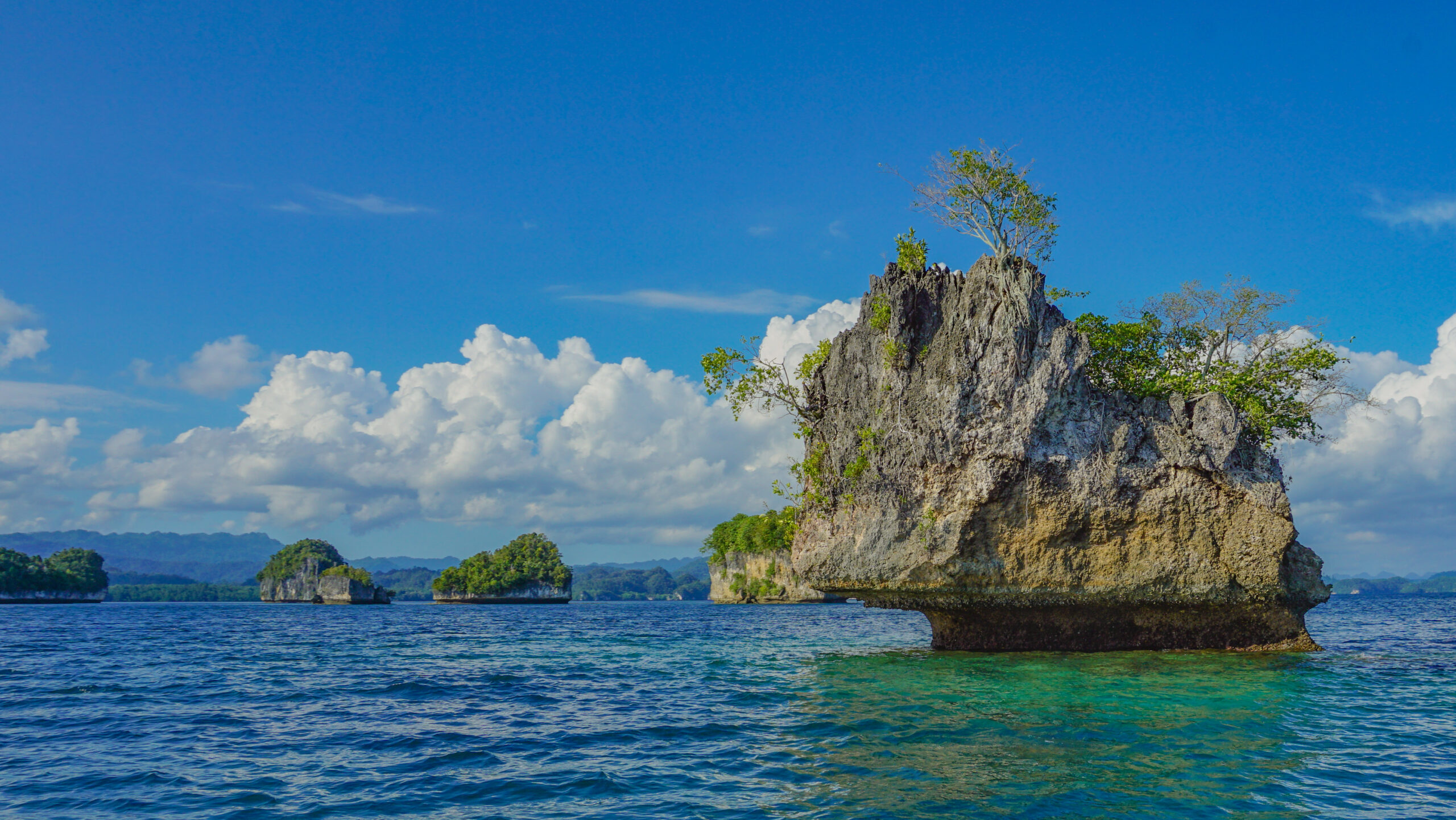 One of the Mushroom island in Raja Ampat - Papua