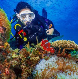 diver with nemo and coral