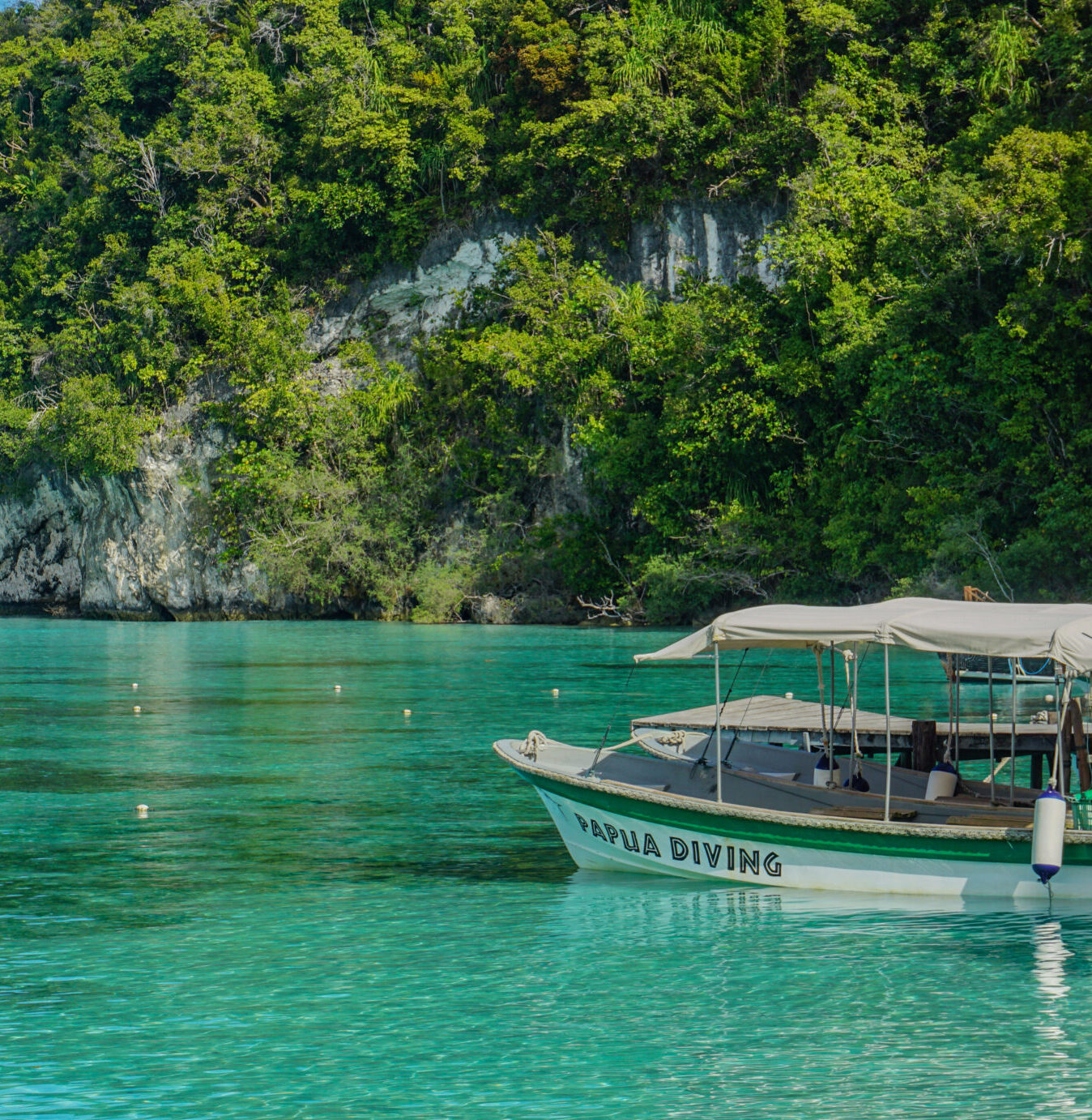 papua diving dive boat