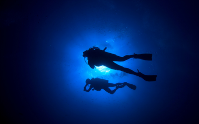 two divers