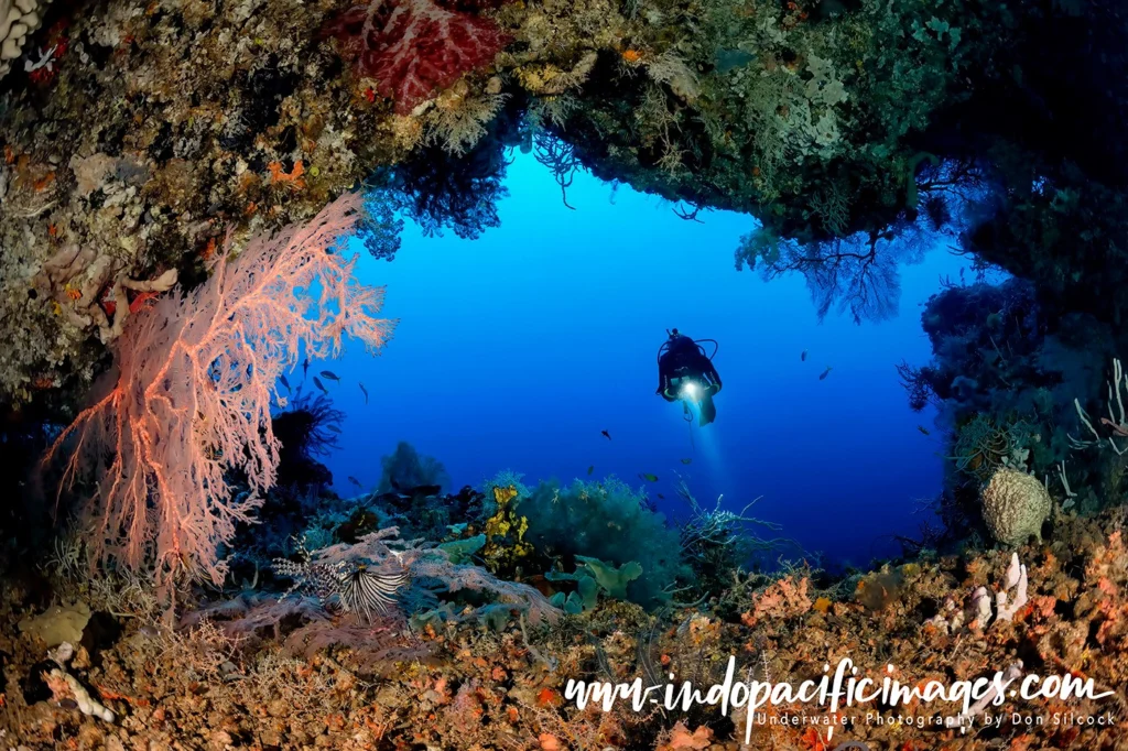 Diving with Papua Diving