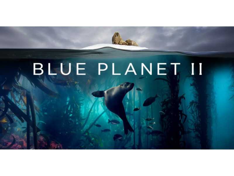 blue planet II, Papua Diving Resorts featured in