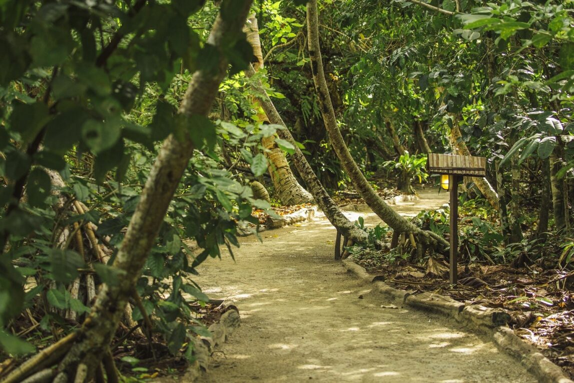 Raja Ampat Marine Park, Indonesia