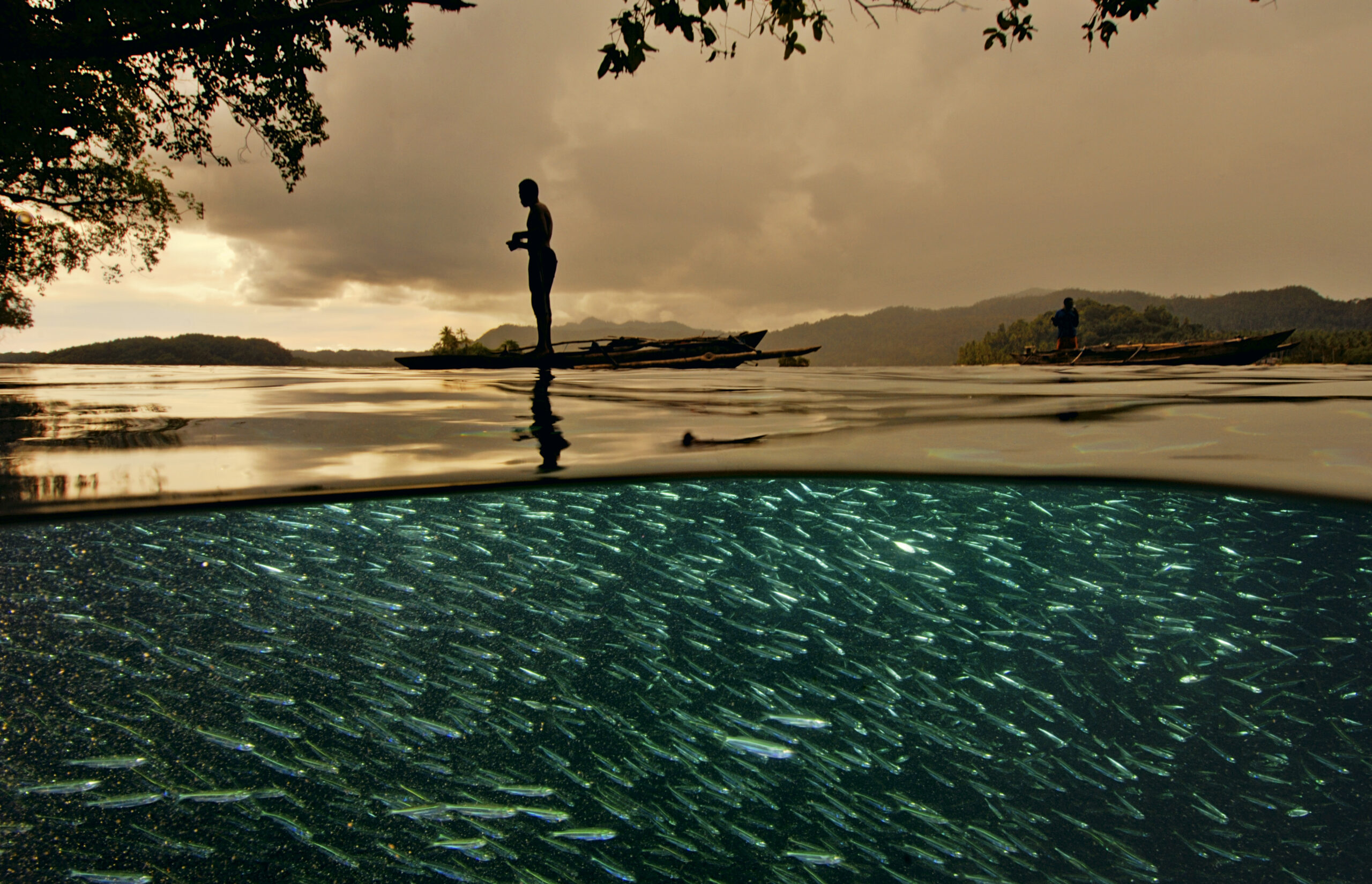 A papuan fisherman stands in his wooden outrigger above schools of flashing baitfish in Raja Ampat Indonesia