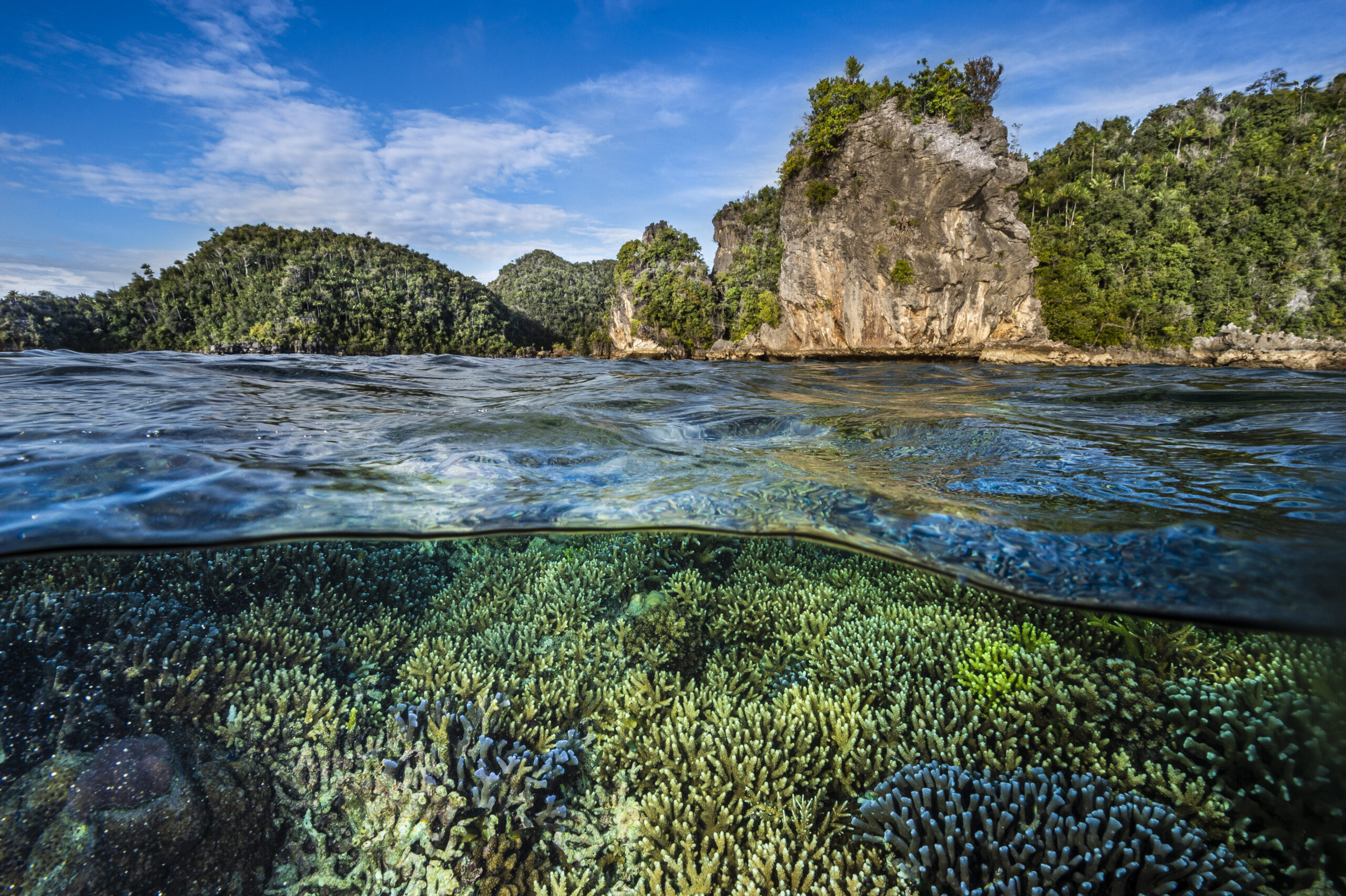 Raja Ampat Indonesia Coral Triangle