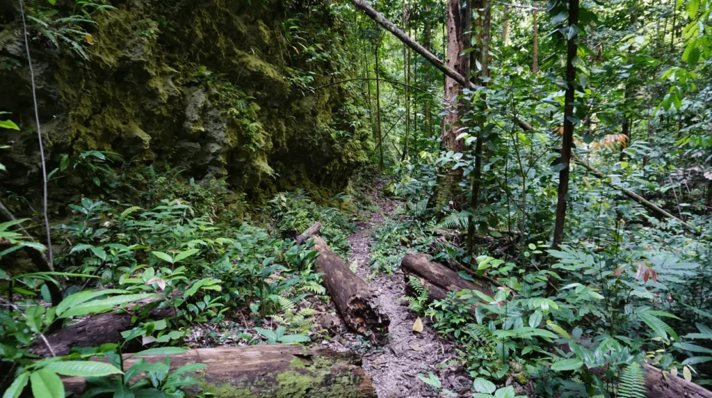 island excursions in raja ampat to explore