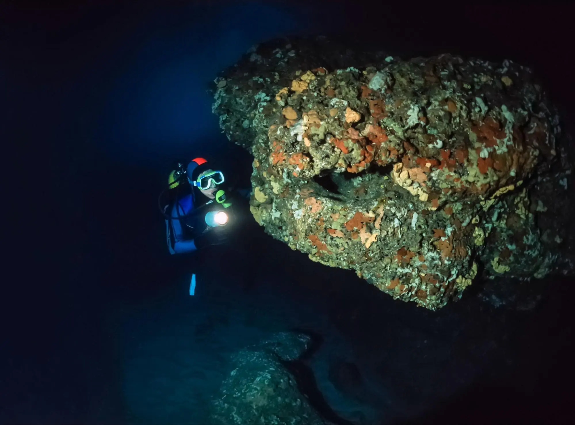 night diving in raja ampat