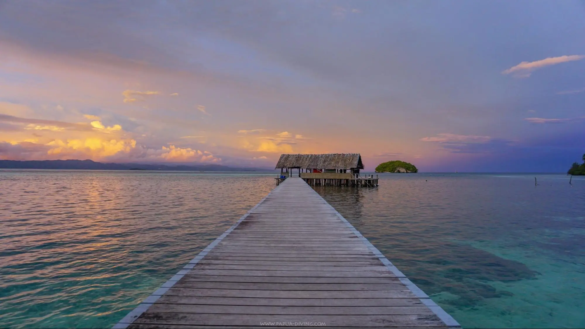 papua diving resorts