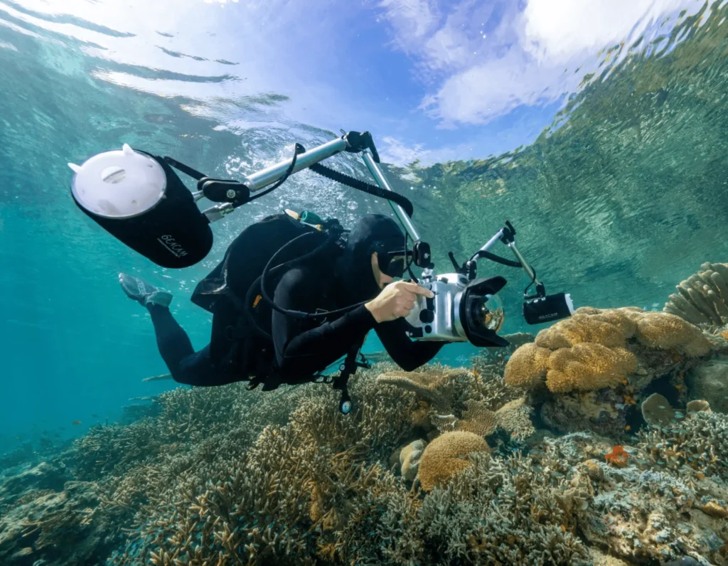 underwater photography using SEACAM with raja ampat SEACAM center