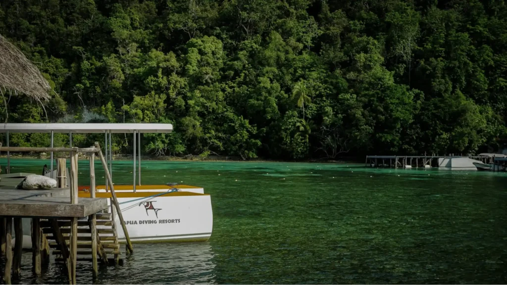 papua diving resorts boat