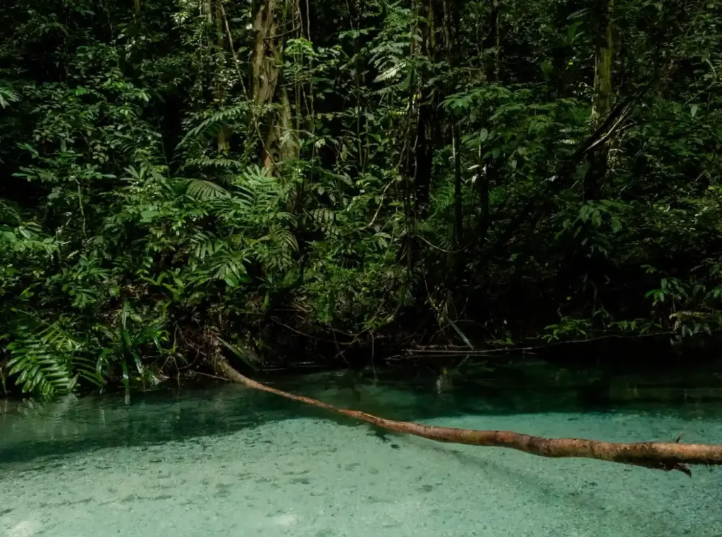 Kalibiru, Raja Ampat