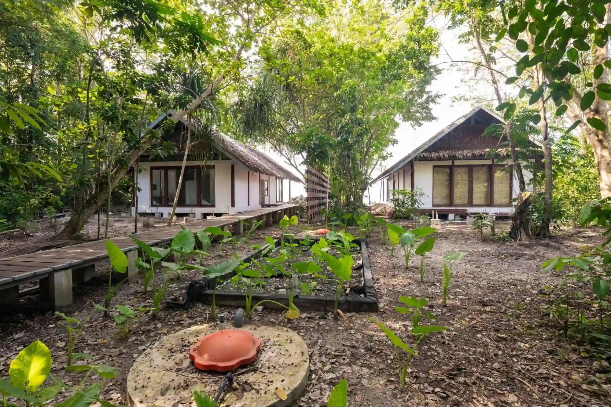 wastewater garden at papua diving resorts