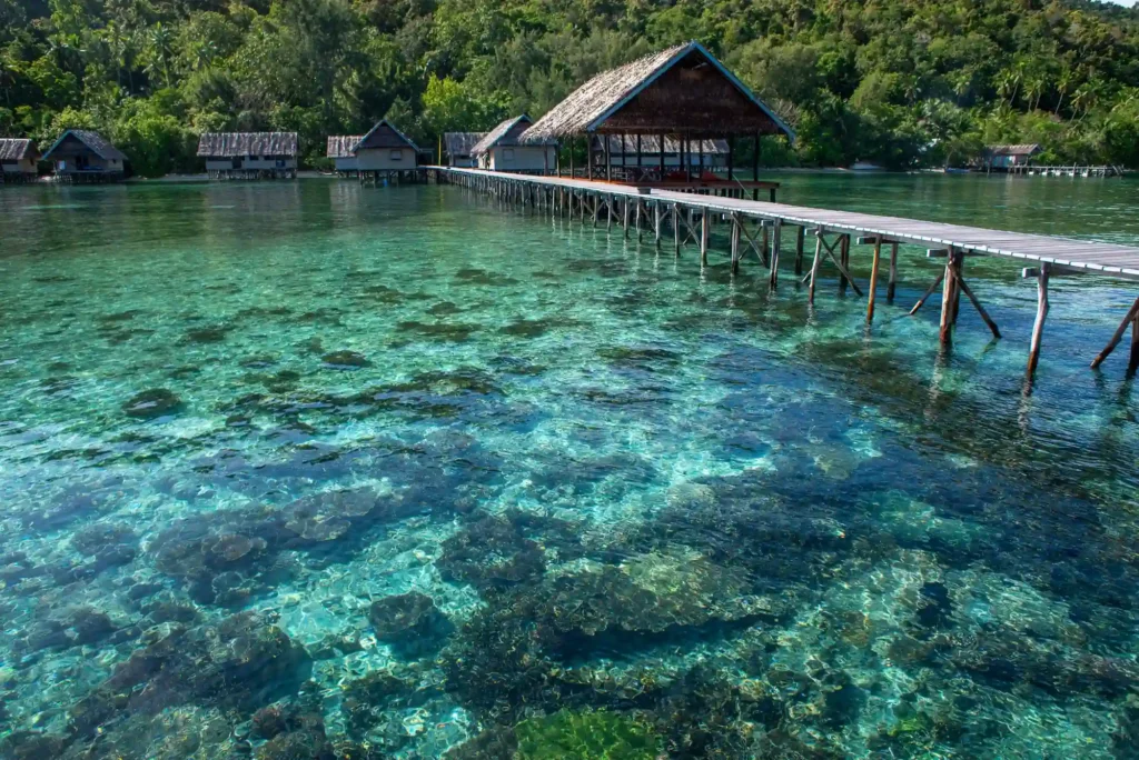 Papua Diving Resorts for your dive trip holiday