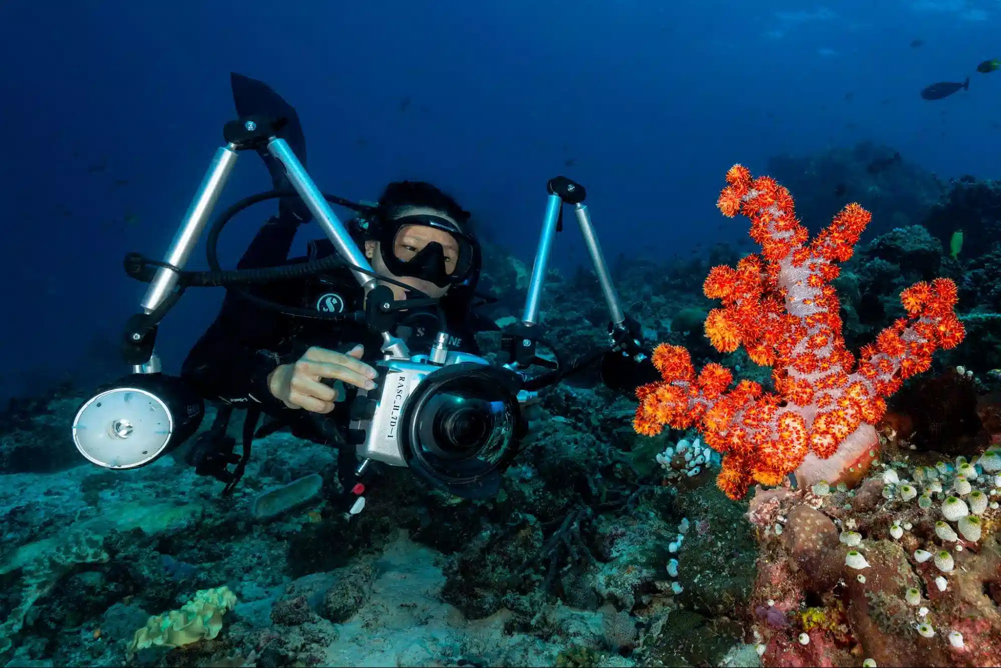 Papua Diving Resorts staff with SEACAM camera system, full housing and gear, promoting expert underwater photography in Raja Ampat