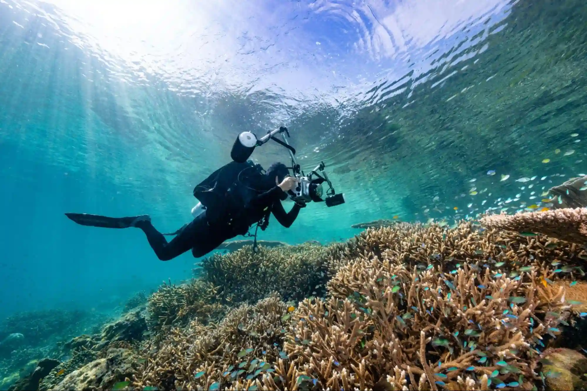Diver with SEACAM camera photographing coral reef in clear blue water of Raja Ampat