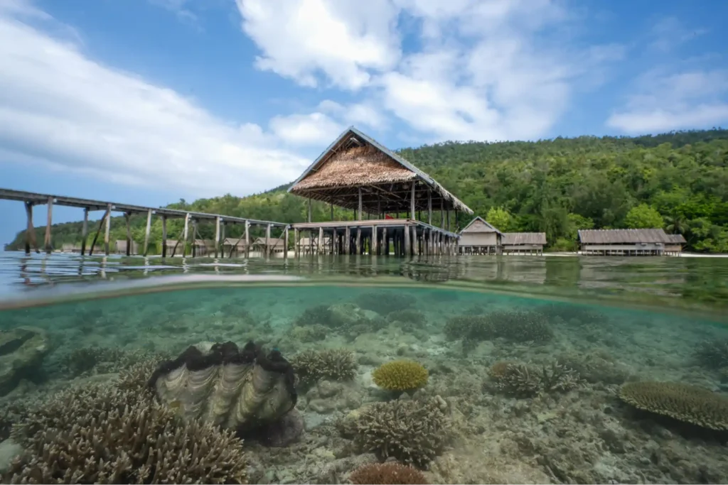 Split-view image of vibrant coral reef underwater and Papua Diving Resorts above the surface in Raja Ampat