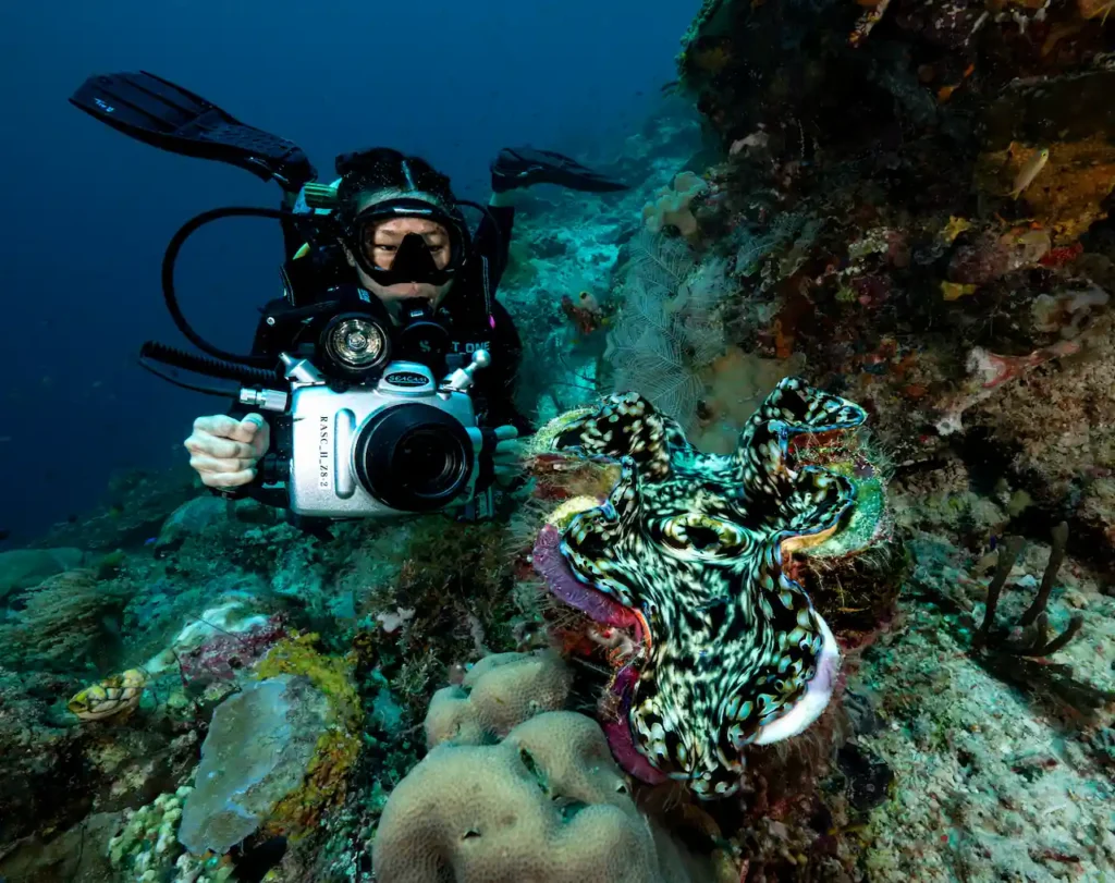 Dive coral photoshoot