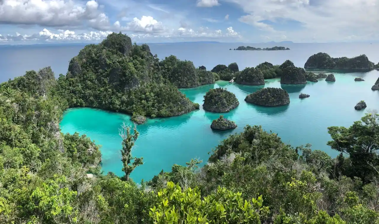 Raja Ampat Drone View