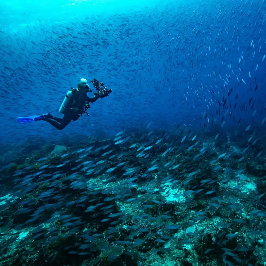 beginner diving mistake
