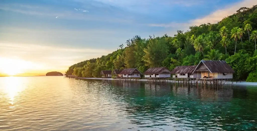 Chicken Reef Raja Ampat Dive Site