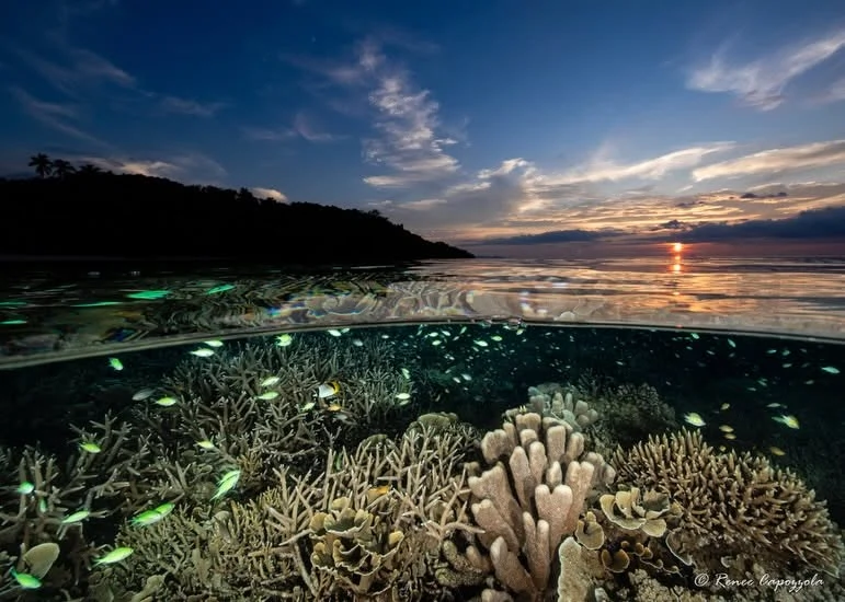 Why Does Renee Keep Returning to Raja Ampat